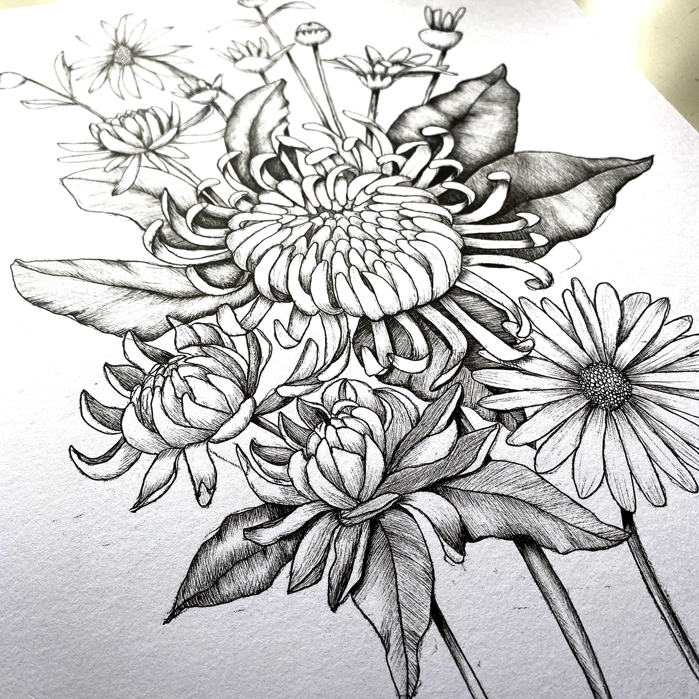 CHRYSANTHEMUM BUNCH-Watercolour and Black and White Print