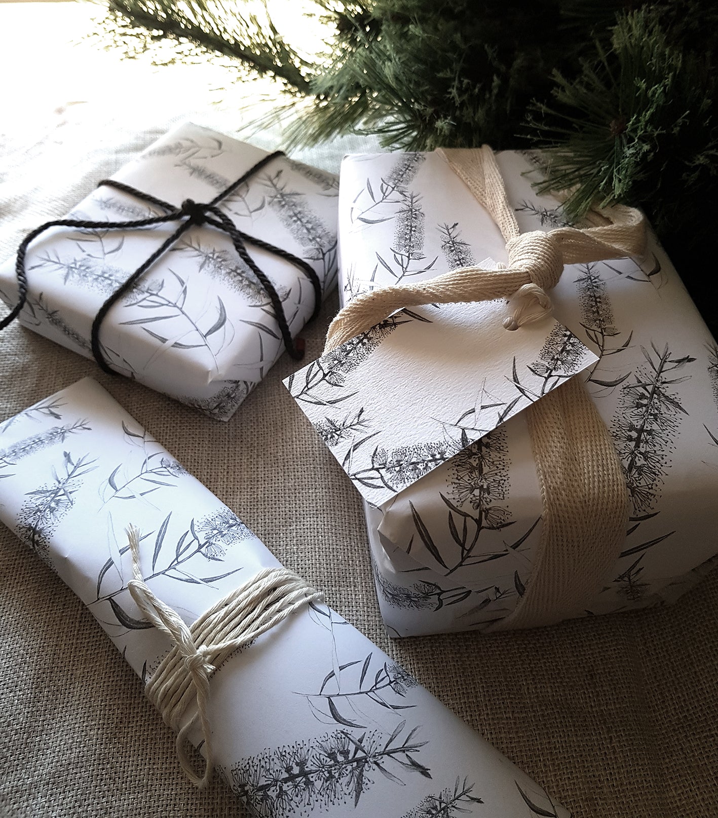 GIFT WRAP/CALLISTEMON