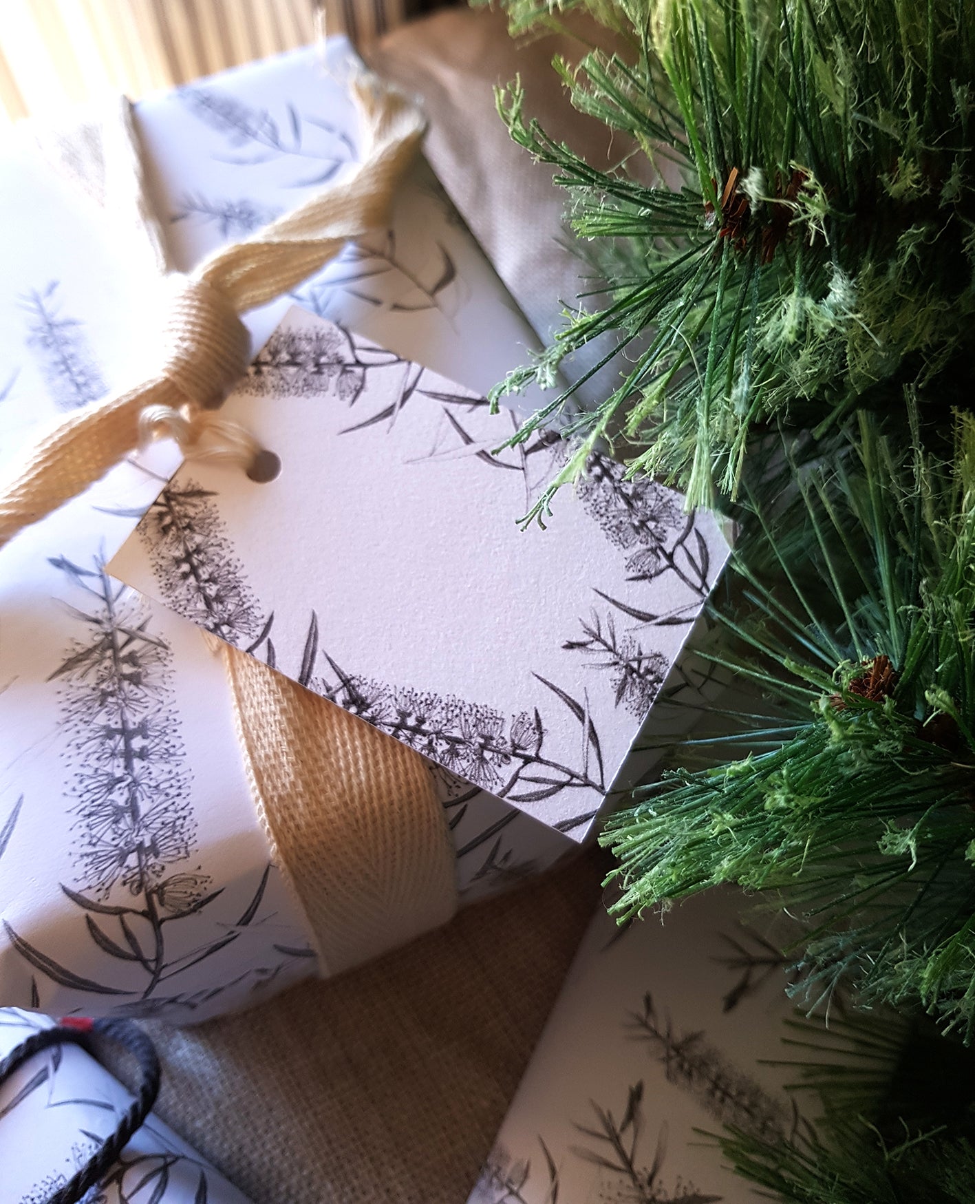 GIFT WRAP/CALLISTEMON
