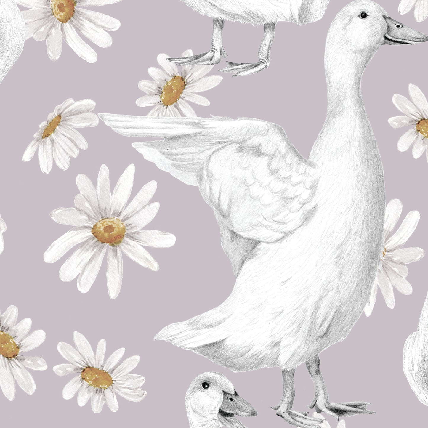 DUCKS & DAISIES