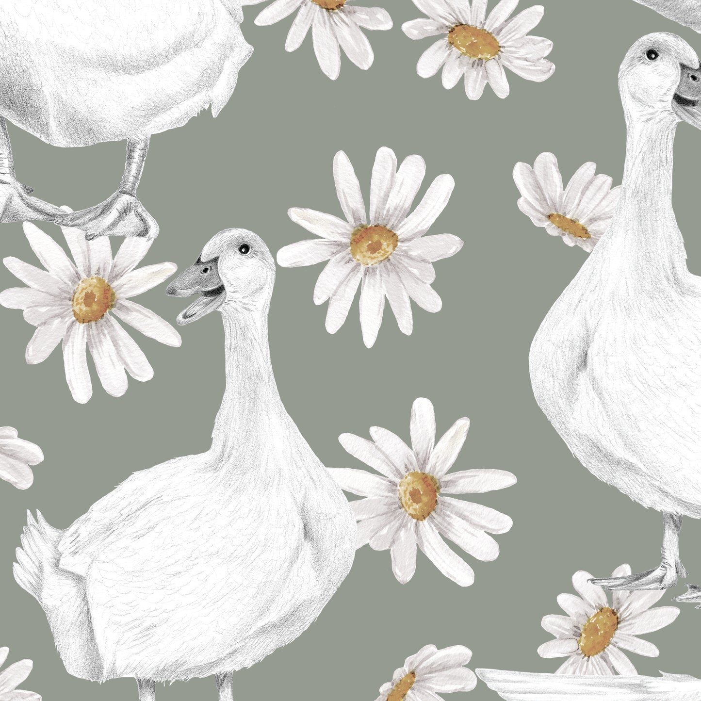 DUCKS & DAISIES