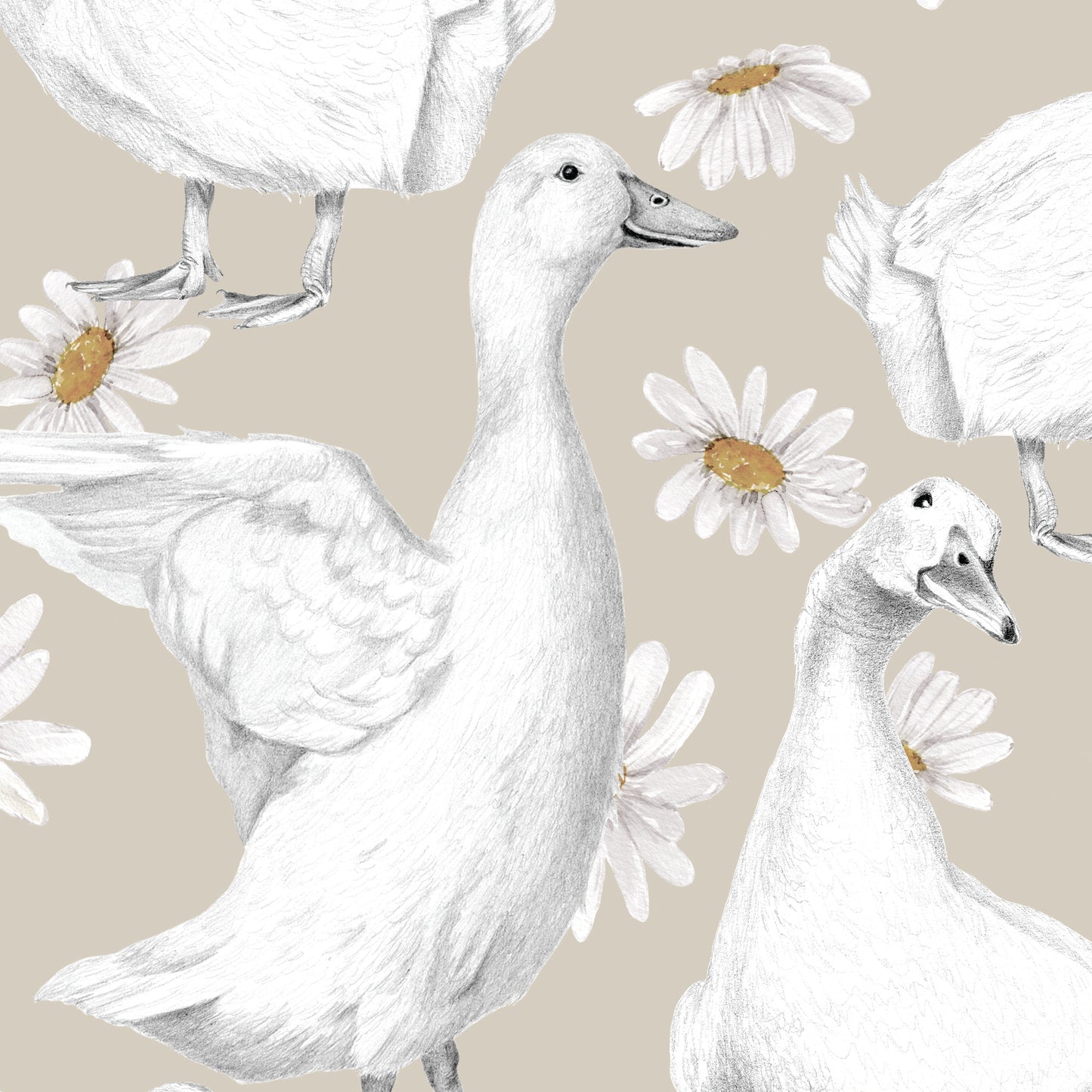 DUCKS & DAISIES