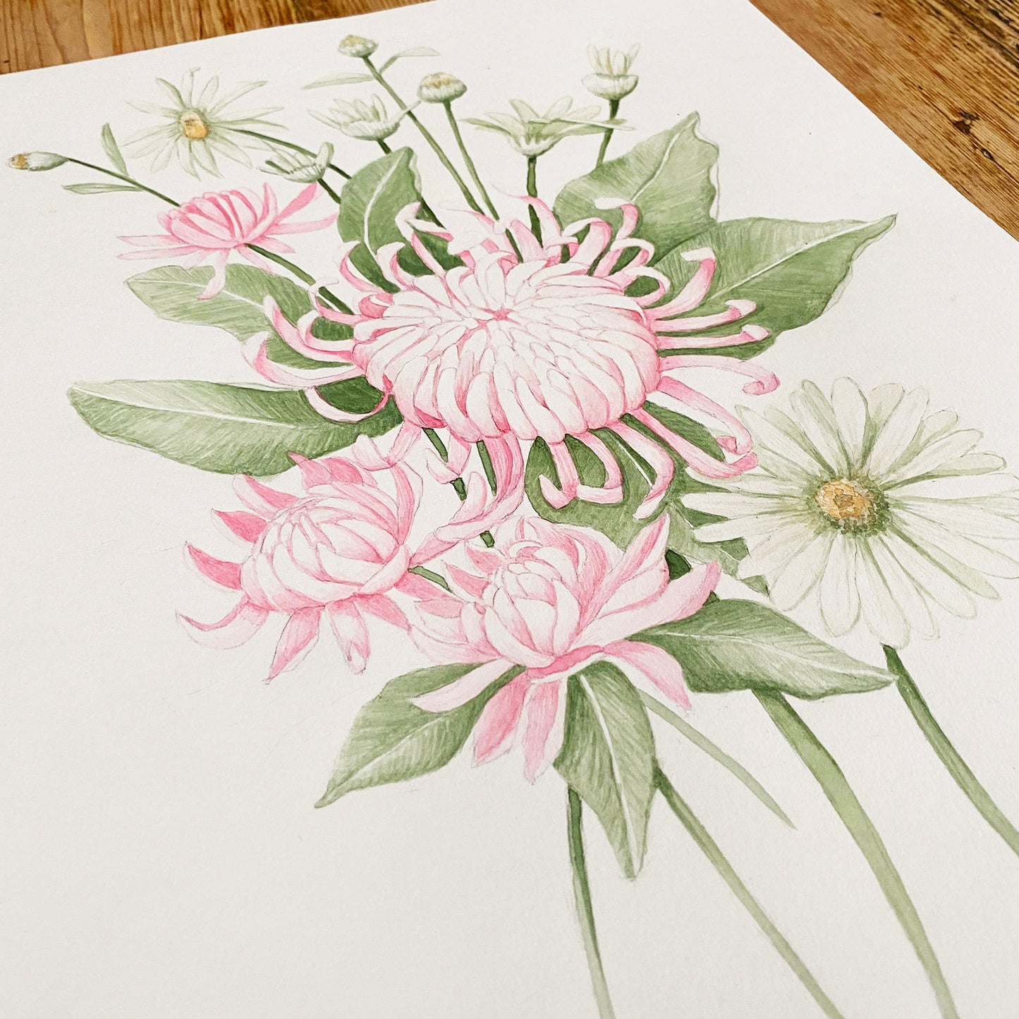 chrysanthemum watercolour print in process