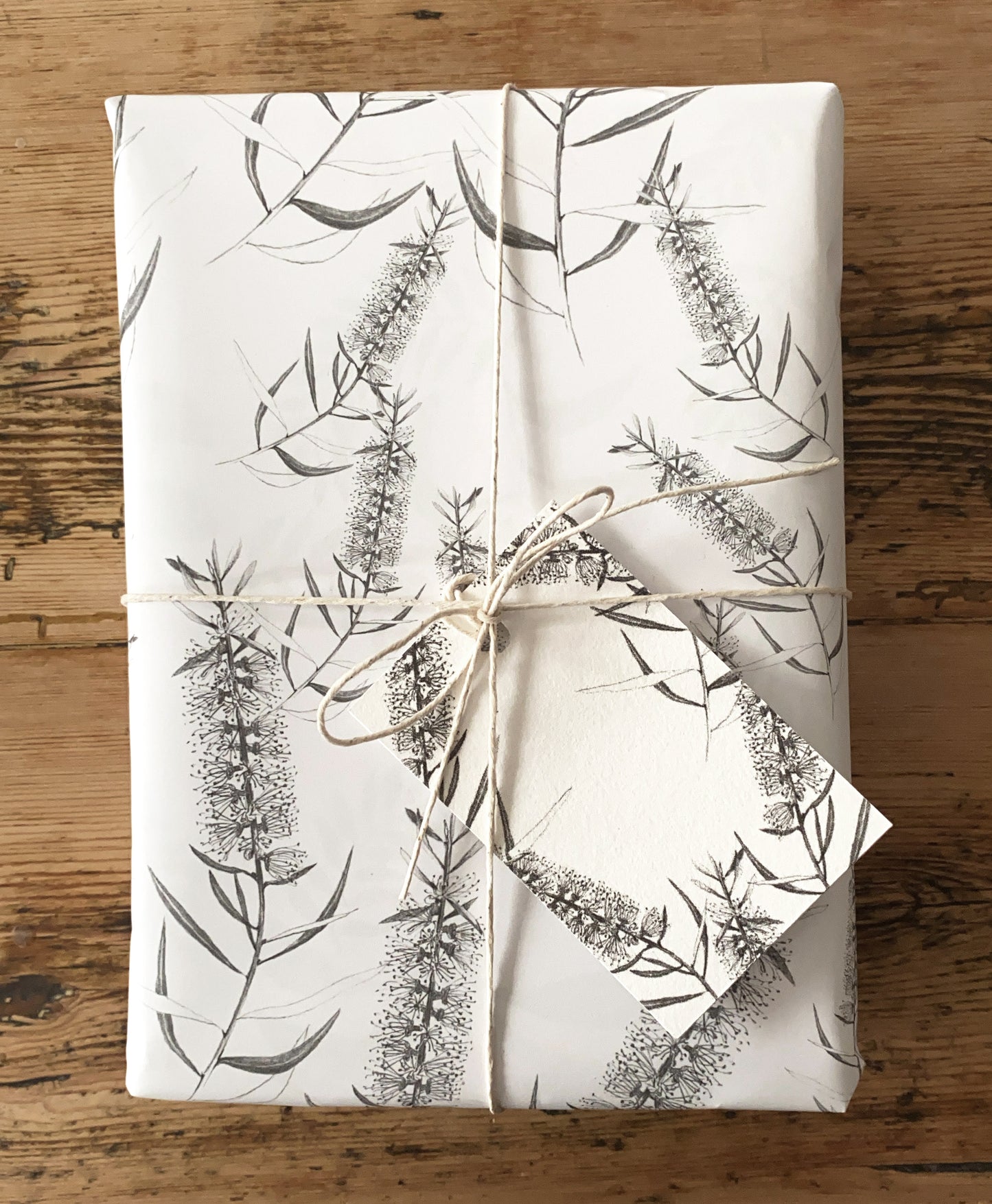 GIFT WRAP/CALLISTEMON