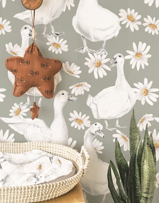 DUCKS & DAISIES