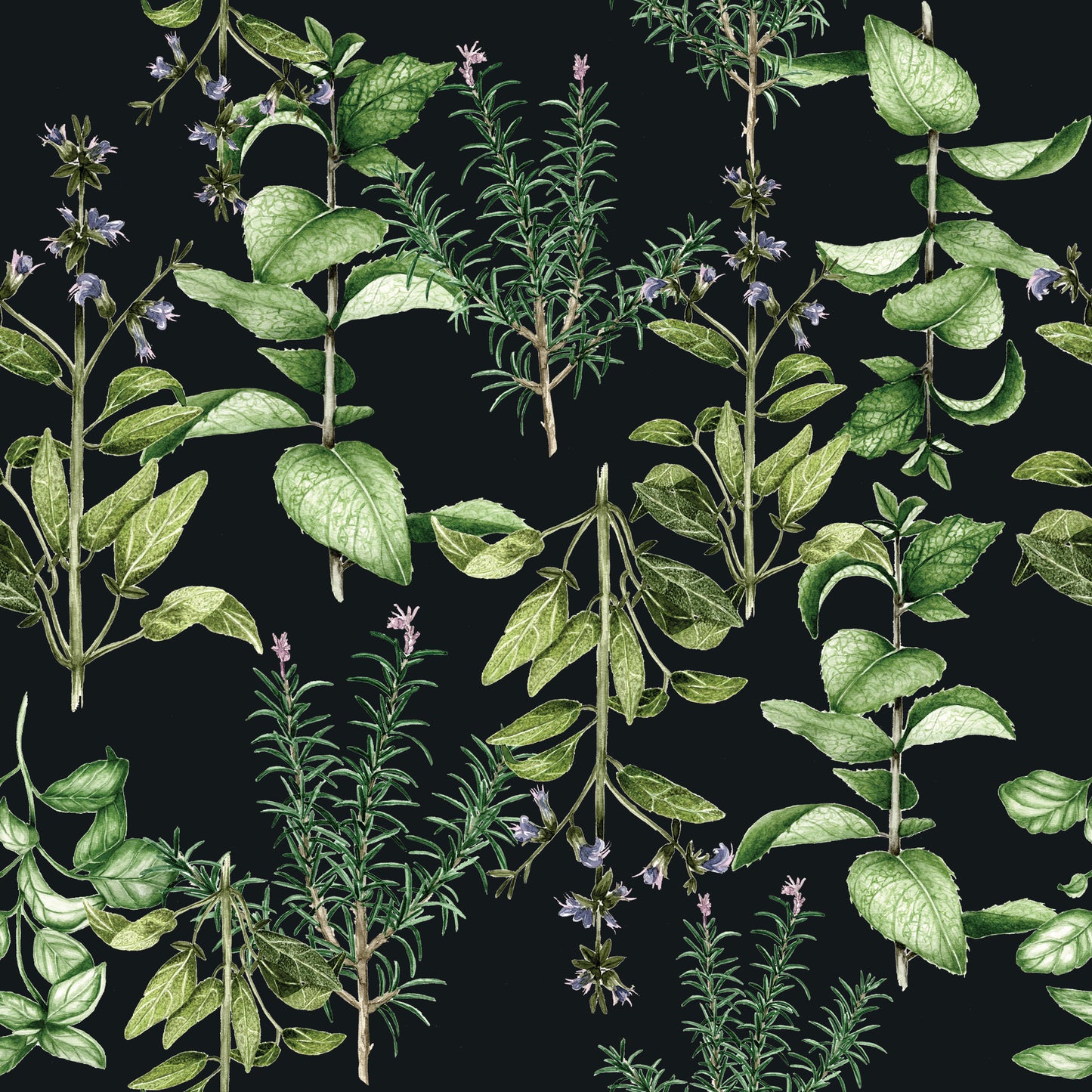 HERBS