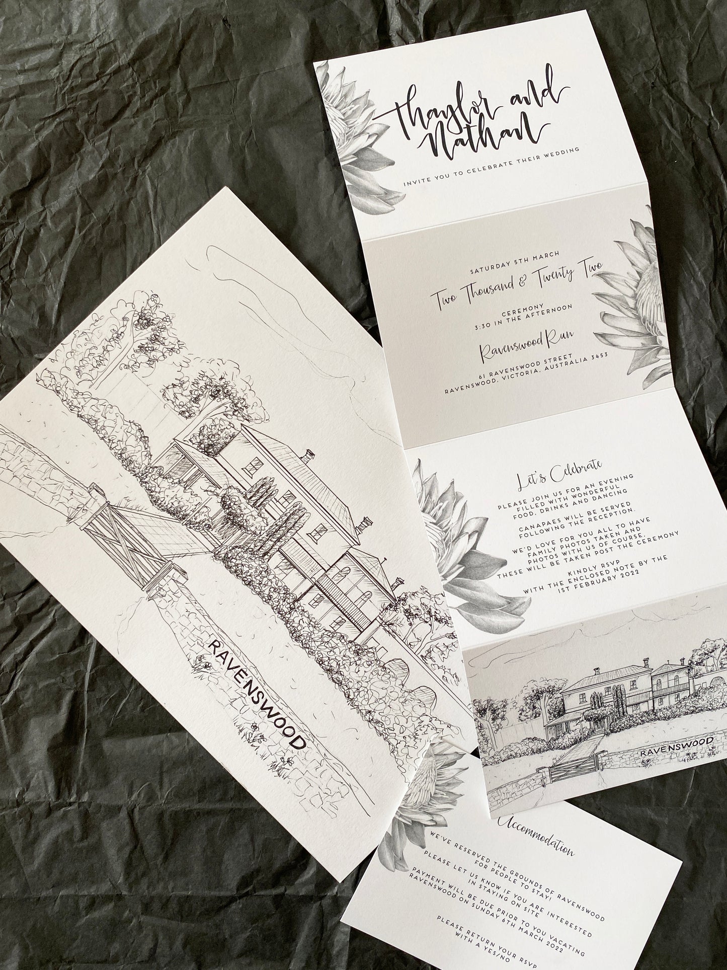 Venue Illustration-Line Art