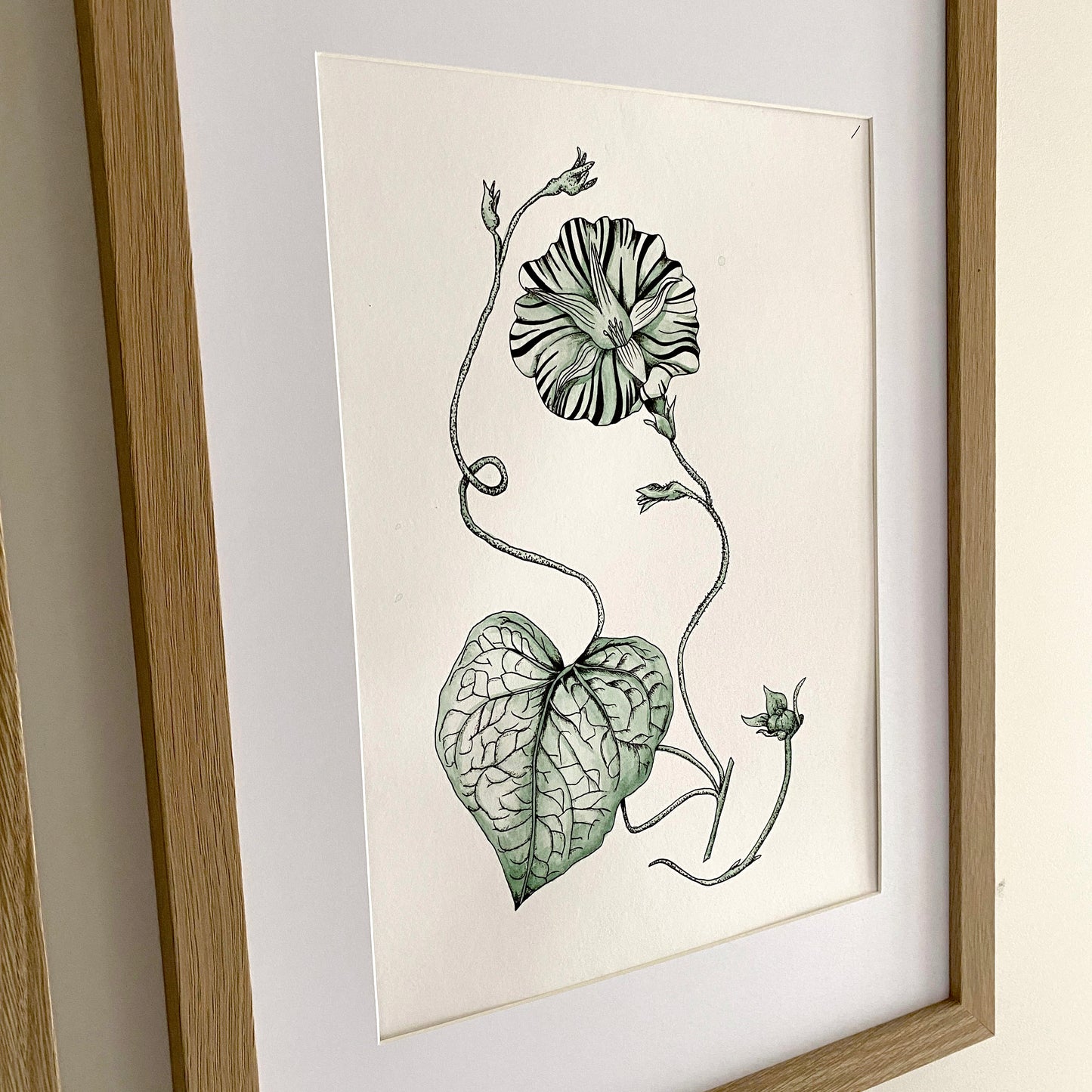 Vintage Style Botanical Prints | Set of 4