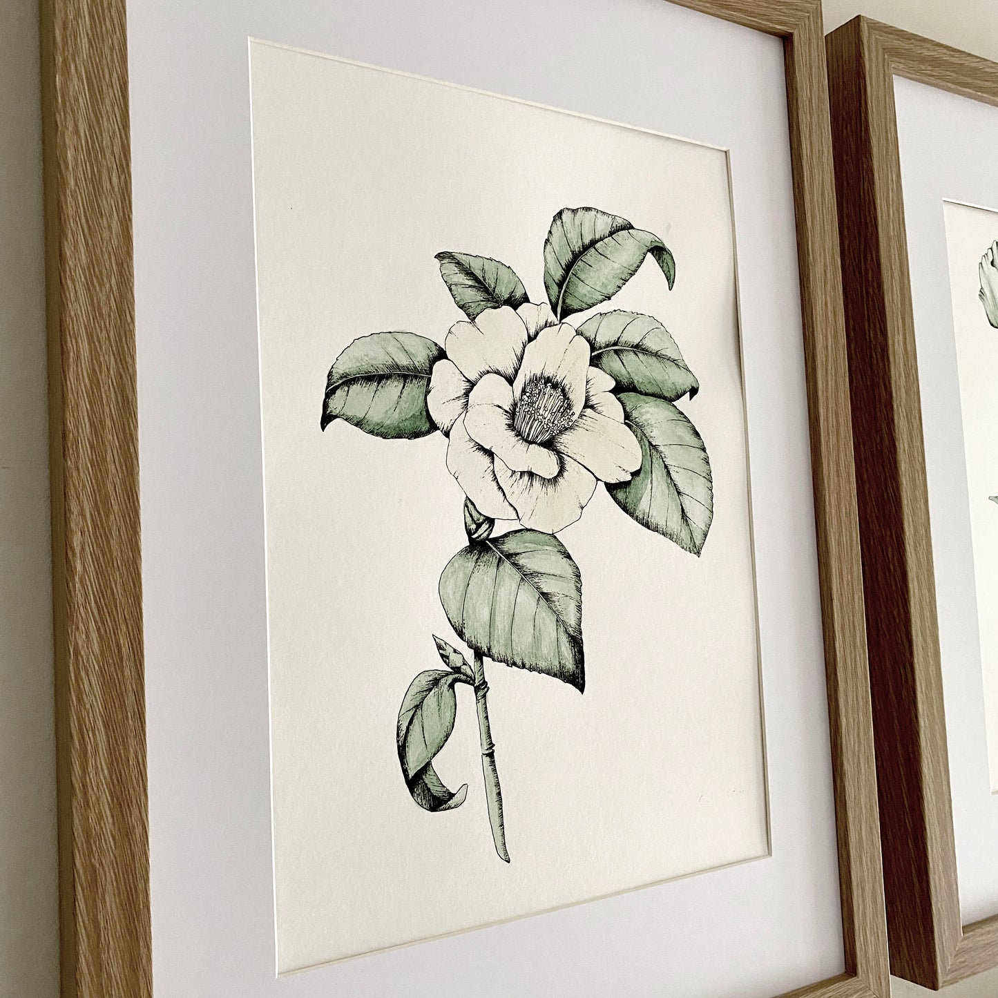 Vintage Style Botanical Prints | Set of 4