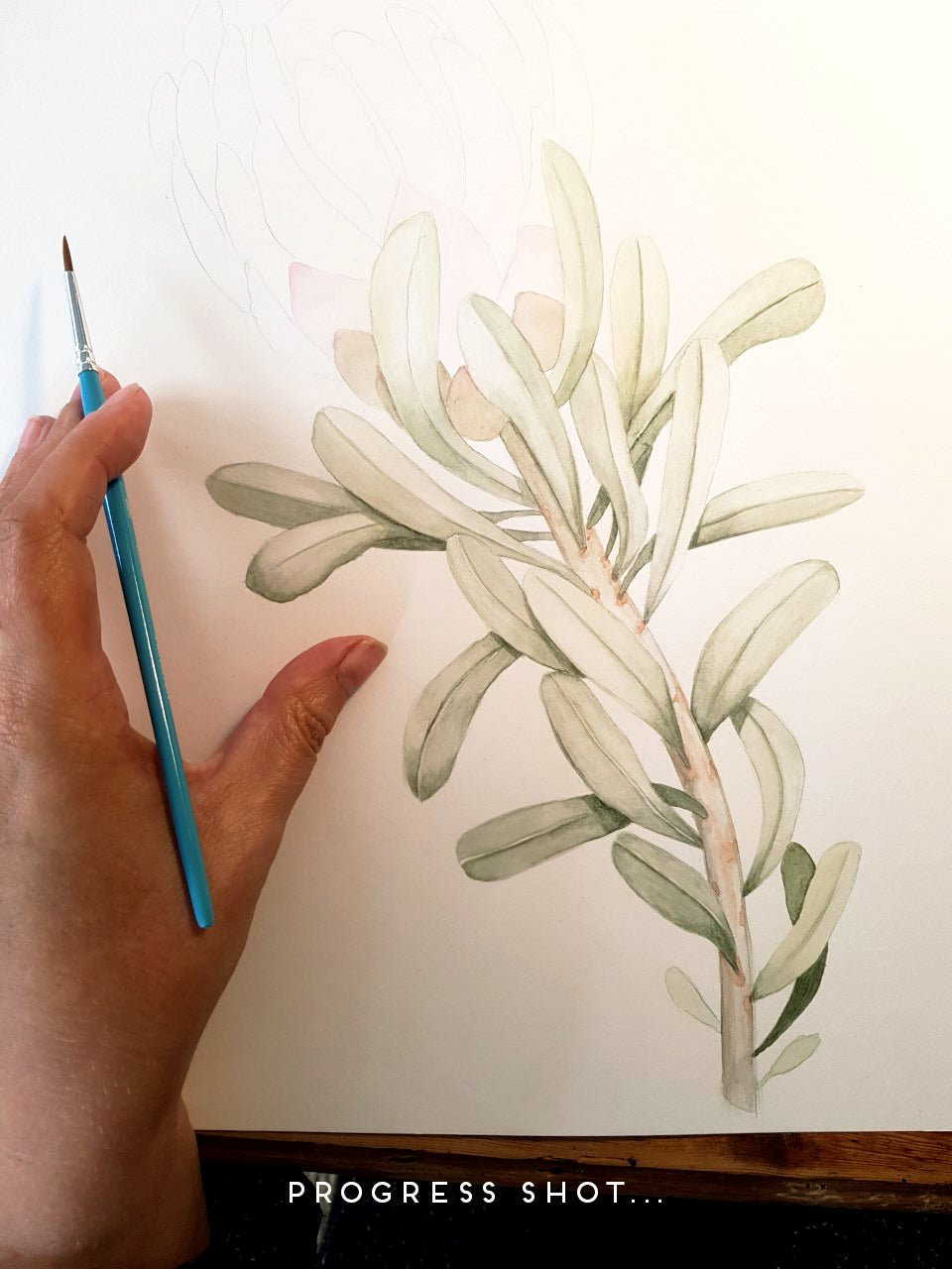 SPRING BOTANICALS