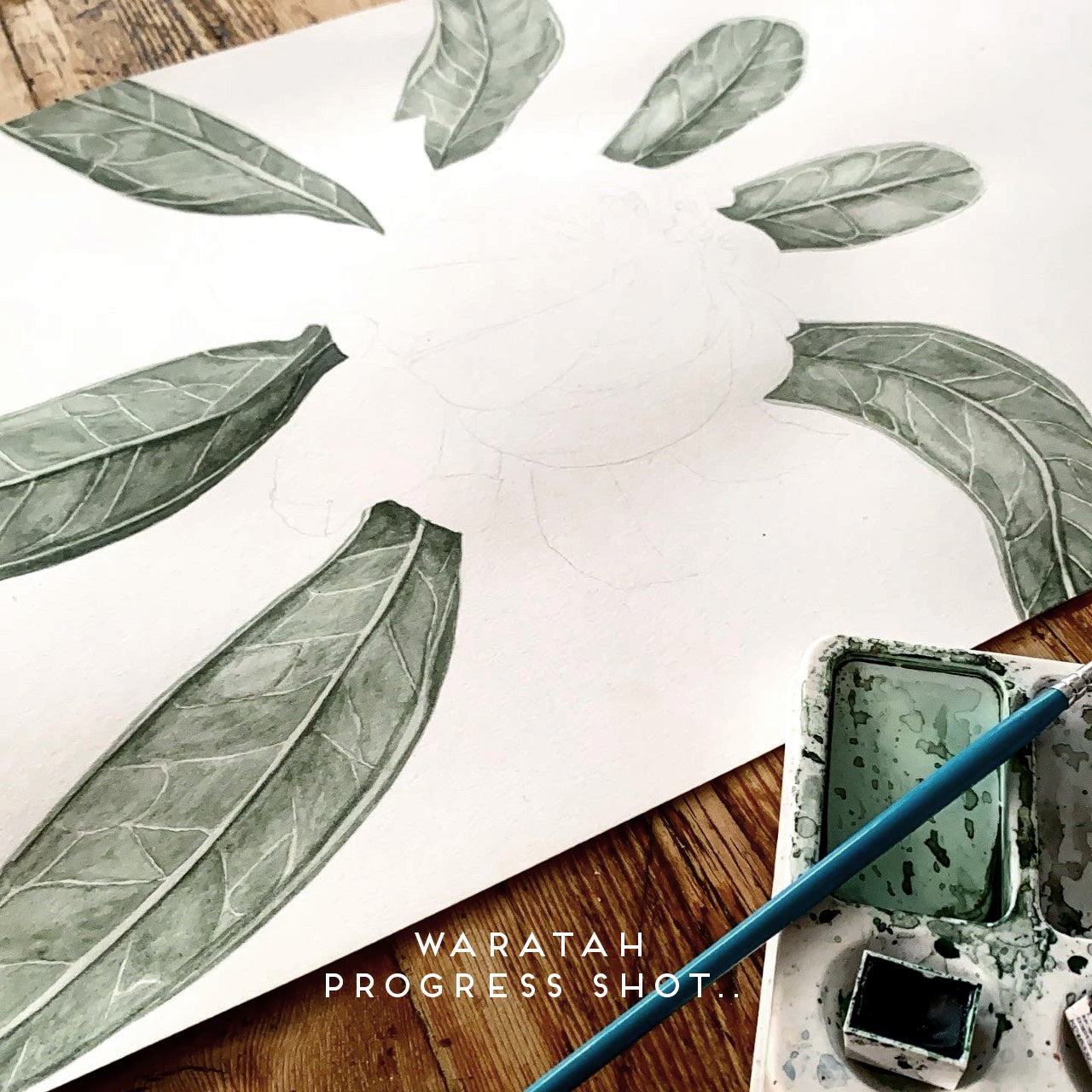 SPRING BOTANICALS